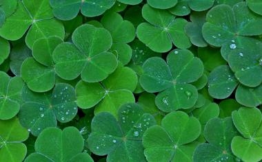 家人在休城！哈登赛前动员：若圣诞不能和家人一起 想和你们一起