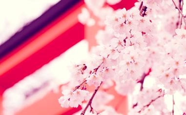 梅德韦杰夫队录像 ATP罗马站男单决赛 对战vs鲁内队回放 2023年05月21日 比赛视频完整直播回看