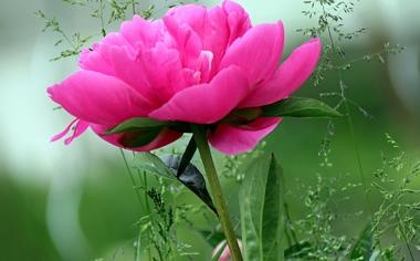 亚特兰大队录像 意甲第27轮 对战vs恩波利队回放 2023年03月18日 03:45比赛视频完整直播回看