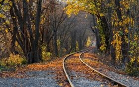 佛得角男篮队录像 男篮世界杯小组赛 对战vs斯洛文尼亚男篮队回放 2023年08月30日 19:30比赛视频完整直播回看