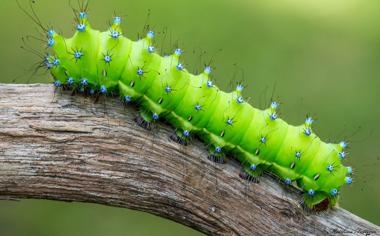 韩悦队录像 马来西亚羽毛球大师赛女单 对战vs许玟琪队回放 2023年05月25日 17:21:12比赛视频完整直播回看