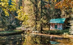 都灵队录像 意甲第32轮 对战vs亚特兰大队回放 2023年04月30日 02:45比赛视频完整直播回看