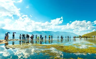 阿森纳队录像 欧联杯1/8决赛次回合 对战vs葡萄牙体育队回放 2023年03月17日 04:00比赛视频完整直播回看