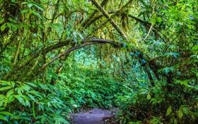 录像 F1墨西哥大奖赛第三次练习赛 对战vs回放 2023年10月29日 11:34:42比赛视频完整直播回看