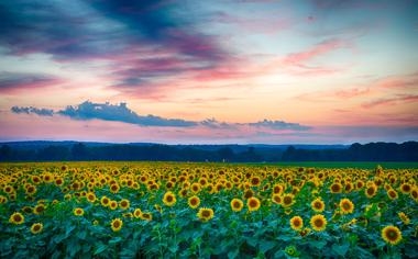 乔尔杰维奇：中国篮协有姚明这样的内行领导是我来华的重要因素