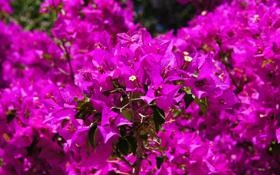 阿森纳队录像 英超第19轮 对战vs阿斯顿维拉队回放 2025年12月31日 04:15比赛视频完整直播回看