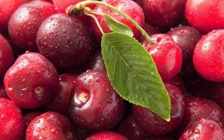 明日独行侠对阵勇士 东契奇&欧文&大莫里斯皆出战成疑