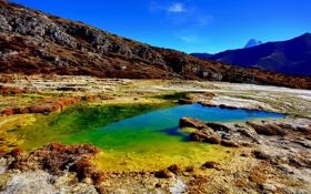 录像 F1新加坡大奖赛排位赛 对战vs回放 2023年09月16日 23:16:02比赛视频完整直播回看