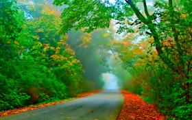 布拉格斯巴达队录像 欧联小组赛C组第1轮 对战vs艾里斯利队回放 2023年09月22日 03:00比赛视频完整直播回看