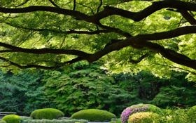 伊朗U23队录像 U23亚洲杯小组赛C组 对战vs黎巴嫩U23队回放 2026年01月13日 19:30比赛视频完整直播回看