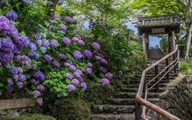 辽宁沈阳城市队录像 中甲第22轮 对战vs广西平果哈嘹队回放 2023年09月09日 19:30比赛视频完整直播回看