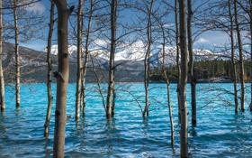 斯洛文尼亚胜澳大利亚，晋级世界杯八强