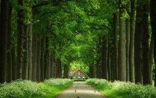 王曼昱队录像 乒乓球全国锦标赛女单半决赛 对战vs王艺迪队回放 2023年10月13日 20:05比赛视频完整直播回看