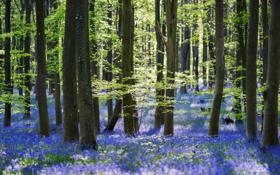 圣吉罗斯队录像 欧联杯小组赛E组第3轮 对战vsLASK林茨队回放 2023年10月27日 03:00比赛视频完整直播回看