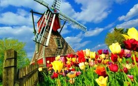 梅尔斯/穆尔队录像 羽毛球奥尔良大师赛混双第3轮 对战vs蒋振邦/魏雅欣队回放 2023年04月06日 21:39:18比赛视频完整直播回看