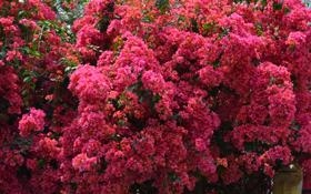 希金斯队录像 斯诺克大师赛第1轮 对战vs巴里-霍金斯队回放 2026年01月14日 09:23:26比赛视频完整直播回看