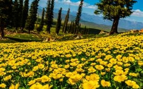 海顿-平海队录像 斯诺克威尔士公开赛资格赛 对战vs高阳队回放 2026年01月10日 08:10:21比赛视频完整直播回看