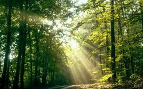 沙尔克队录像 德甲第12轮 对战vs弗赖堡队回放 2022年10月31日 比赛视频完整直播回看