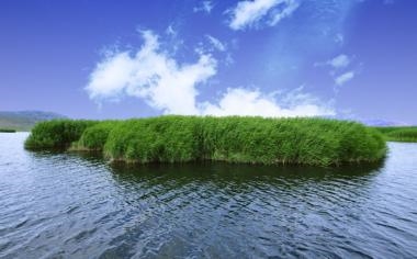 温格谈大马丁：其性格展示阿根廷人对足球的热情，有时他会自负