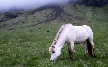 吕昊天队录像 斯诺克威尔士公开赛资格赛 对战vs克雷吉队回放 2026年01月11日 09:39:38比赛视频完整直播回看