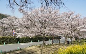 亚特兰大队录像 意甲第17轮 对战vs国际米兰队回放 2025年12月29日 03:45比赛视频完整直播回看