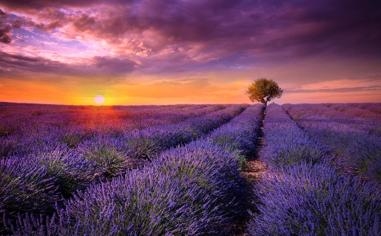 门兴队录像 德甲第9轮 对战vs海登海姆队回放 2023年10月28日 21:30比赛视频完整直播回看