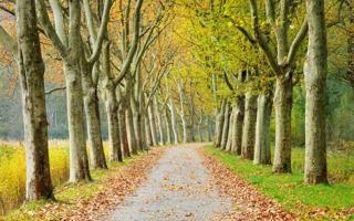 中国男篮队录像 德国篮球超级杯 对战vs德国男篮队回放 2023年08月13日 00:30比赛视频完整直播回看