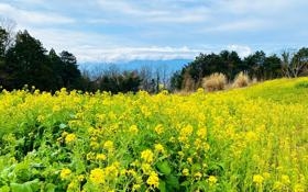 诺丁汉森林队录像 英超第11轮 对战vs阿斯顿维拉队回放 2023年11月05日 22:00比赛视频完整直播回看