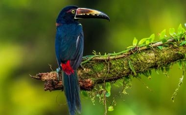 庞俊旭队录像 斯诺克英国公开赛资格赛 对战vs乔丹-布朗队回放 2022年08月15日 09:36:37比赛视频完整直播回看