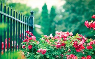 埃及队录像 非洲杯小组赛B组第2轮 对战vs南非队回放 2025年12月26日 23:00比赛视频完整直播回看