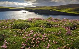 录像 F1阿塞拜疆大奖赛正赛 对战vs回放 比赛视频完整直播回看