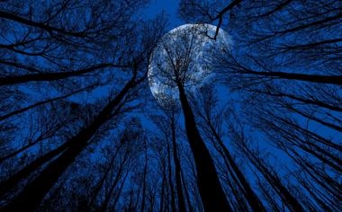 纽卡斯尔队录像 英超第11轮 对战vs阿森纳队回放 2023年11月05日 01:30比赛视频完整直播回看