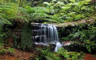 加斯奎特队录像 ATP蒙特卡洛大师赛男单第1轮 对战vs蒂姆队回放 2023年04月11日 09:40:33比赛视频完整直播回看