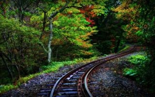 勇士赢独行侠输 二者排名对调 勇士逃离附加赛区域