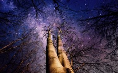 维罗纳队录像 意甲第16轮 对战vs博洛尼亚队回放 2026年01月16日 01:30比赛视频完整直播回看