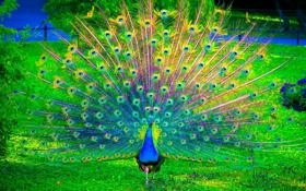 迈阿密国际队录像 美职联 对战vs夏洛特FC队回放 2023年10月19日 08:00比赛视频完整直播回看