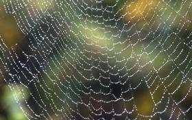 丘里奇队录像 ATP辛辛那提男单第2轮 对战vs纳达尔队回放 2022年08月19日 09:59:49比赛视频完整直播回看