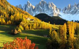 活塞队录像 NBA常规赛 对战vs雄鹿队回放 2023年11月09日 09:00比赛视频完整直播回看