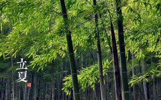 尼斯队录像 法甲第17轮 对战vs斯特拉斯堡队回放 2026年01月04日 02:00比赛视频完整直播回看