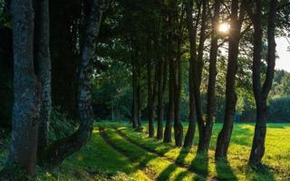 巴黎圣日耳曼队录像 法甲第28轮 对战vs雷恩队回放 2023年03月20日 00:05比赛视频完整直播回看