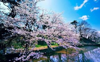 斯维托丽娜队录像 WTA250奥克兰站女单决赛 对战vs王欣瑜队回放 2026年01月11日 比赛视频完整直播回看