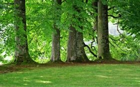 阿森纳队录像 英超第6轮 对战vs热刺队回放 2023年09月24日 21:00比赛视频完整直播回看