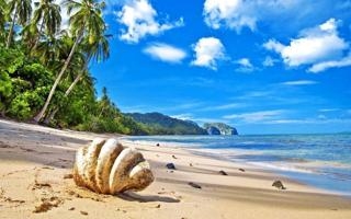 here we go！罗马诺：利物浦签加克波达协议，交易已完成