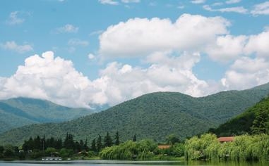 森林狼队录像 NBA常规赛 对战vs勇士队回放 2023年11月13日 09:30比赛视频完整直播回看