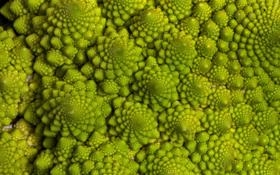 樊振东队录像 乒乓球亚锦赛男单半决赛 对战vs梁靖崑队回放 2023年09月10日 11:58:21比赛视频完整直播回看