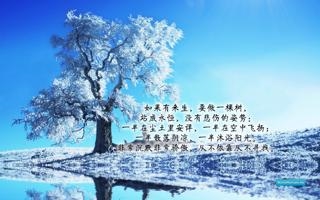 法国队录像 足球友谊赛 对战vs苏格兰队回放 2023年10月18日 03:10比赛视频完整直播回看