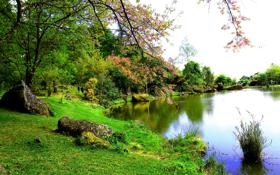 化身铁匠！罗齐尔17中2&三分7中1得7分4板5助 正负值-26全场最低