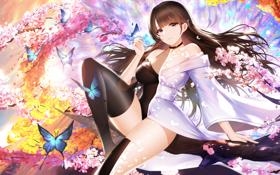 布伦特福德比赛 2026年01月08日 03:30 英超第21轮直播录像 对决桑德兰视频