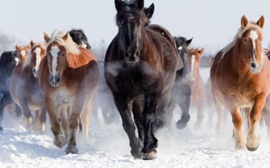 灰熊队录像 NBA常规赛 对战vs爵士队回放 2023年11月02日 09:00比赛视频完整直播回看
