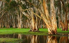 尼尔-罗伯逊队录像 斯诺克大师赛第1轮 对战vs克里斯-沃克林队回放 2026年01月15日 09:25:48比赛视频完整直播回看